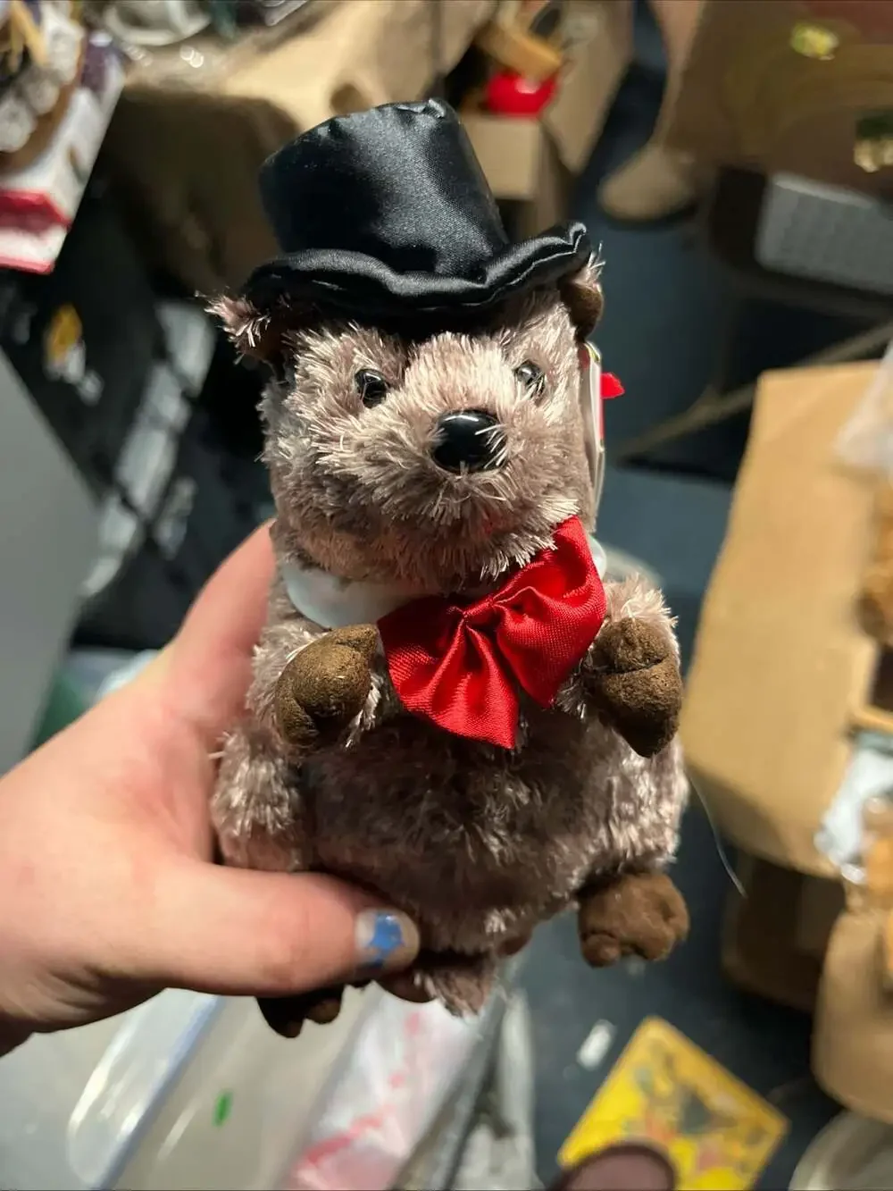 Ty Beanie Babies Punxsutawney Phil 2008 Groundhog Plush